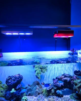 Hydra 52 HD LED acquario reef 