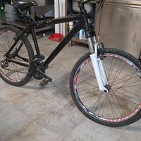 bicicletta Mountain bike