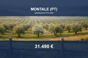 Immobile in asta di 164449 m² a Montale
