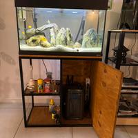 Aquario completo
