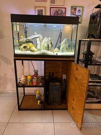 Aquario completo