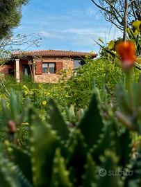 San Teodoro villetta ALISEA vista mare