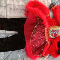 Vestiti Carnevale bambina 