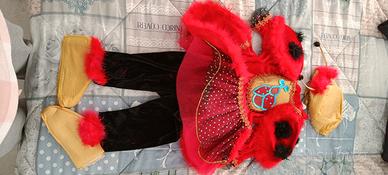 Vestiti Carnevale bambina 