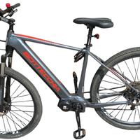 Bici ebike