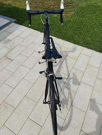 BDC focus izalco full carbon