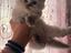 Immagine 4