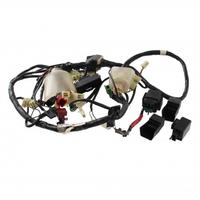 Impianto elettrico Honda Pantheon - 32100KEY900