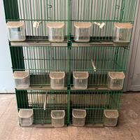 Gabbia Batteria Trasportino