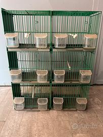 Gabbia Batteria Trasportino