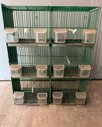 Gabbia Batteria Trasportino