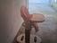 Immagine 1