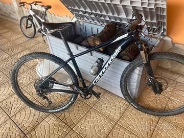 CANNONDALE TRAIL SL3