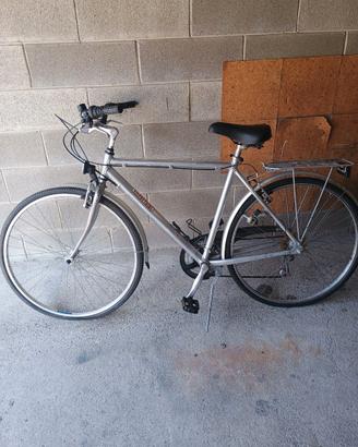 Bicicletta Silvestrini Uomo