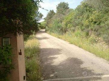 Immobile in asta di 8168 m² a Arzachena