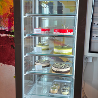 Vetrina refrigerata per torte gelateria