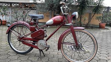 Bianchi aquilotto Vendita in Moto e scooter