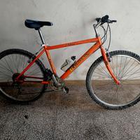 Mountain bike