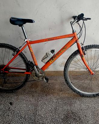 Mountain bike