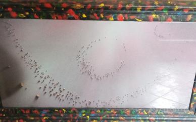 quadro Aldo Morgante Desenzano del Garda 