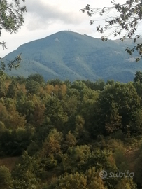 Villetta piccola Fiuggi