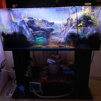 terracquario/ acquario con mensola e geosesarma