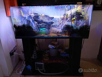 terracquario/ acquario con mensola e geosesarma