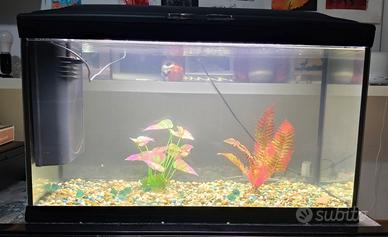 Acquario 120 lt