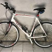 Bicicletta Olympia Speedy Plus Stradale