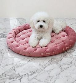 Barboncina Toy bianca