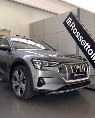 AUDI e-tron quattro