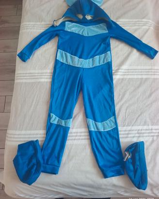 costume pj masks