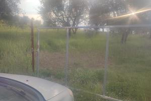 Terreno agricolo zona Mezzaluna - Mentana