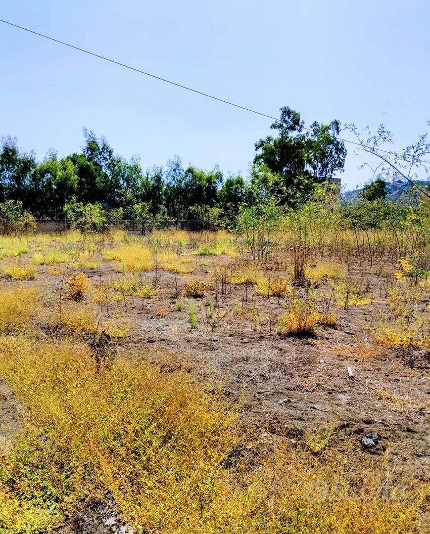 Terreno 28000 mq con fabbricati - Altro
