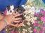 Immagine 6