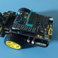 Rover programmabile con microprocessore