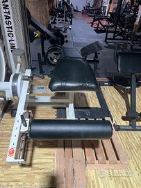 Leg curl panatta sport rehab line