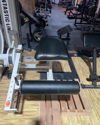 Leg curl panatta sport rehab line