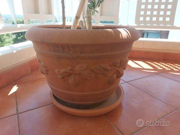 Vasi e piante grasse ,alzatine, composizioni