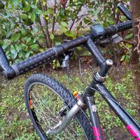 mountain bike  ruota 26
