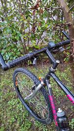 mountain bike  ruota 26