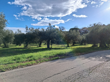 Terreno per attrezzature sportive