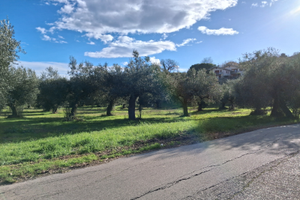 Terreno per attrezzature sportive