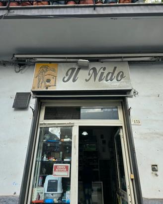 attività commerciale 