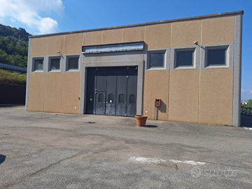 Struttura commerciale