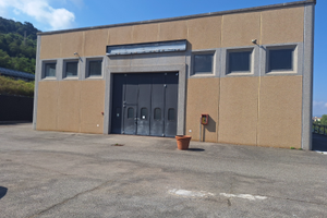 Struttura commerciale