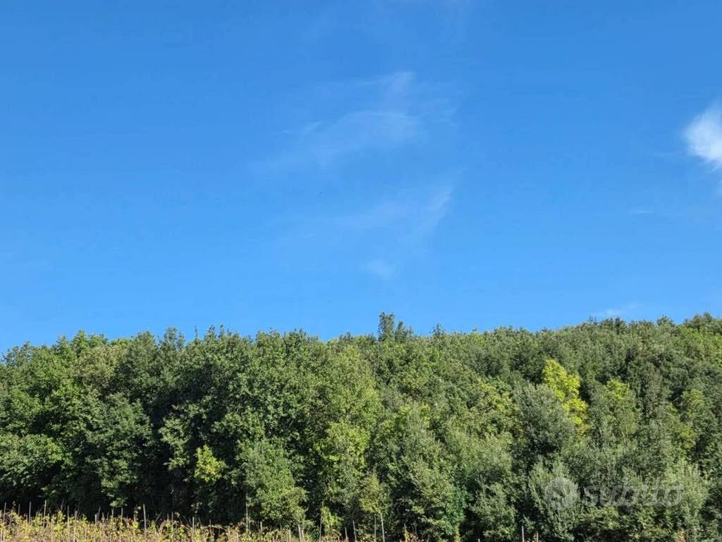 Immobile in asta di 684931 m² a Francolise - Vista 5