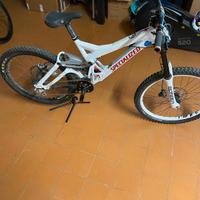 Bici mtb downhill