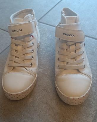 sneakers Geox n.34