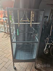 gabbia pappagalli inseparabili